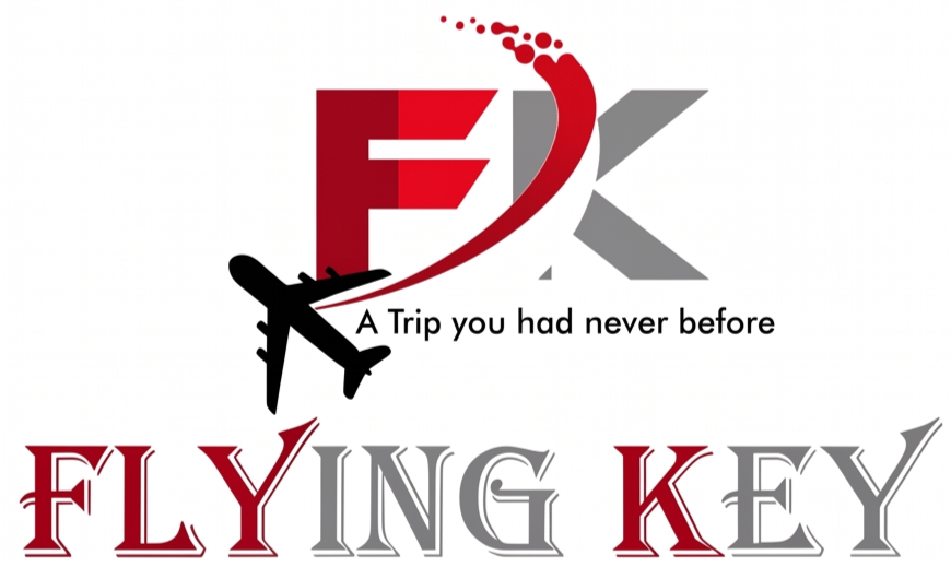 Flying Key Logo